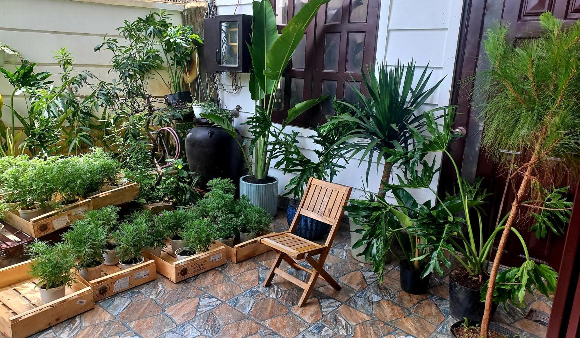 Wasabi House - Homestay Ben Cho Đà Lạt Exterior foto