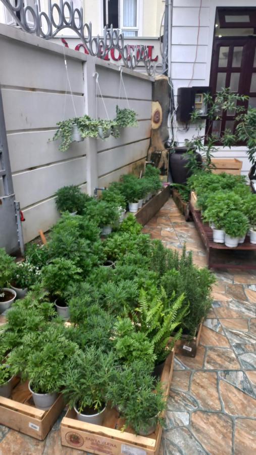 Wasabi House - Homestay Ben Cho Đà Lạt Exterior foto