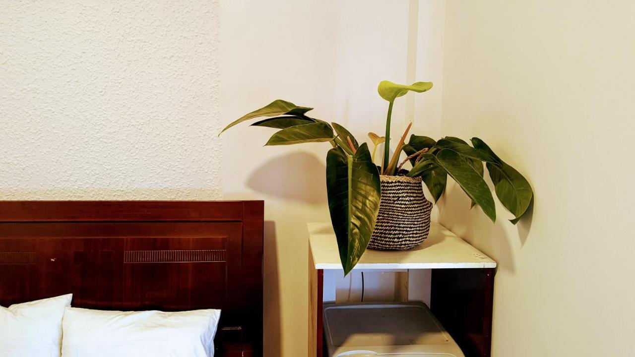 Wasabi House - Homestay Ben Cho Đà Lạt Exterior foto