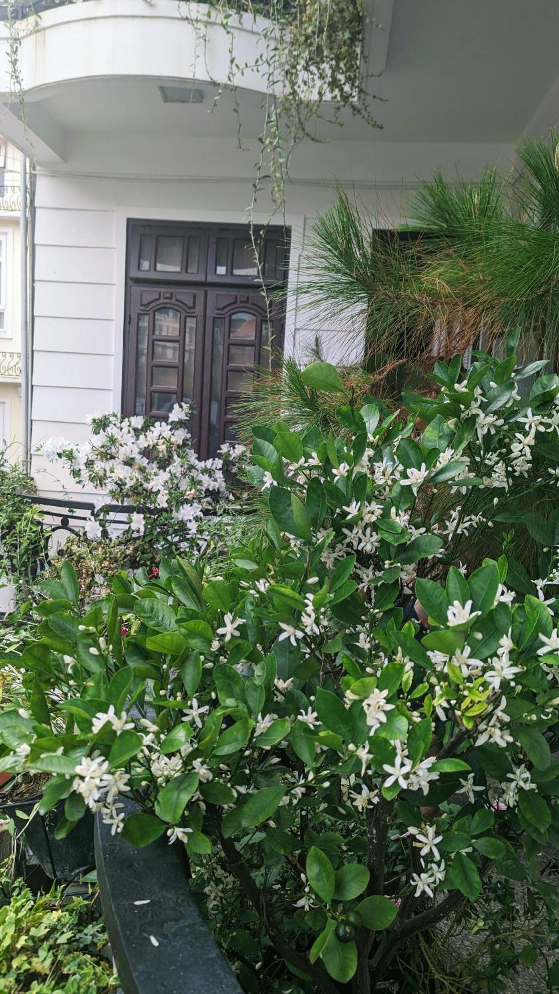 Wasabi House - Homestay Ben Cho Đà Lạt Exterior foto